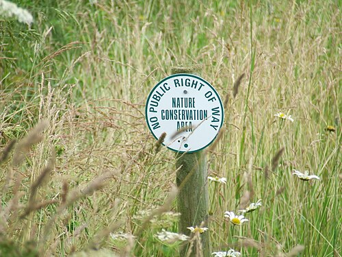 Conservation in the United Kingdom
